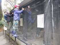 動物たちも冬支度　富山市ファミリーパーク
