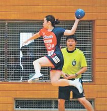 アランマーレ、熊本と分ける