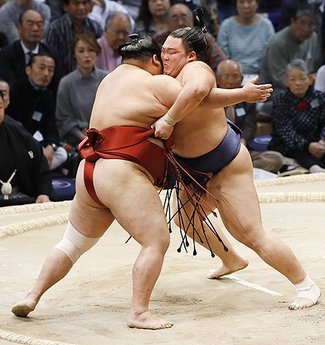 朝乃山６勝目、大奄美寄り切る　九州場所千秋楽　