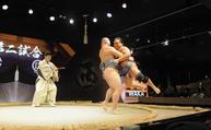 　「ＴＨＥ　ＳＵＭＯ　ＬＩＶＥ　ＲＥＳＴＡＵＲＡＮＴ　日楽座」の相撲ショー＝東京都中央区