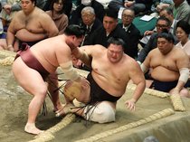 朝乃山、錦富士に寄り倒され３敗目　大相撲初場所８日目