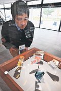 まちなかでガラス鑑賞　富山市が店舗・施設に展示ケース、地元作家の作品紹介