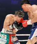 亀田和毅、３階級制覇ならず