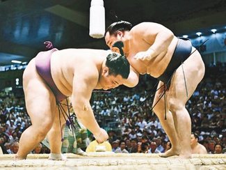 ２０１９年名古屋場所の成績