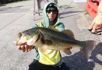 アリゲーターガー釣り上げろ！　高岡古城公園で捕獲会、愛好家２９人の釣果はいかに