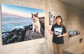 たくましい猫の姿伝える　２１日から高岡・ふくおかカメラ館で土肥さん写真展