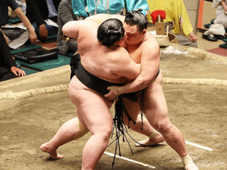 朝乃山再入幕１２勝　大相撲夏場所千秋楽、来場所は前頭４枚目前後