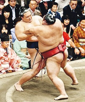 朝乃山、千代丸に押し出され５敗目　大相撲夏場所１１日目