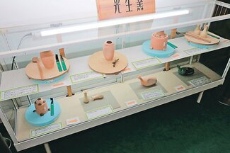 ＜未来へつなＧＯ！＞越中小杉焼友の会（射水市）<br />地域の宝を調査・ＰＲ