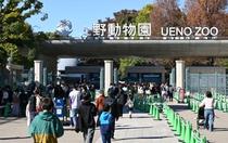 パンダ、日本で会えなくなる？