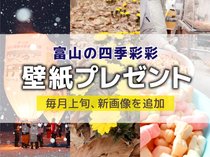 壁紙プレゼント（２０２６年２月）「ふくみつ雪あかり祭り」「フクジュソウ」「ひなあられ」