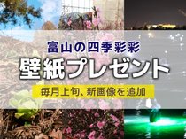 壁紙プレゼント（２０２６年３月）「フキノトウ」「ハナモモ」「ホタルイカ探し」