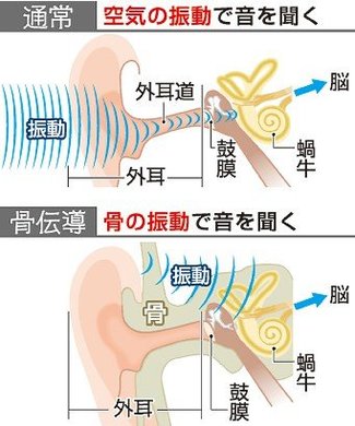 科学の「め」＜８６＞<br /><ruby>骨伝導<rp>（</rp><rt>こつでんどう</rt><rp>）</rp></ruby>