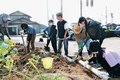 大川寺駅前を再び美しく　富山国際大生・上滝地域団体、花壇復活へ大粒の汗