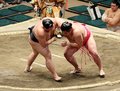 朝乃山１敗死守　大相撲初場所１２日目