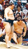 朝乃山、荒鷲を寄り切り３連勝　名古屋場所３日目