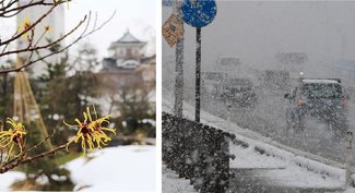 「春一番のち大雪」ってどういうこと？