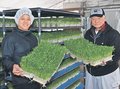 ＜とやま事業承継ストーリー＞１８／シテン（射水市西高木・小杉）<br />発芽野菜を未来へ　若い人材を積極的に採用