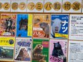 第二回 ファミパ動物選挙へ行ってきた！