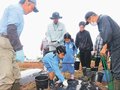 サトイモ栽培に関心を　上市・生産者確保へ定植体験会