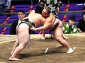 朝乃山、復帰場所全勝Ｖ　大相撲名古屋場所