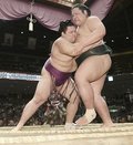 朝乃山、錦木寄り切り全勝キープ　夏場所４日目