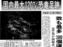 １１月１２日の歴史<br />国内最大規模の恐竜足跡群と判明　１９９６年