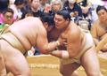 大の里、王鵬と５番で４勝１敗