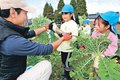 ダイコン取ったよ！　種まいた園児が収穫に笑顔