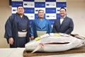 大関大の里、初競りマグロに舌鼓