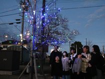 能登半島地震被害の町に希望の光、復興へイルミネーション　高岡・伏木の公園