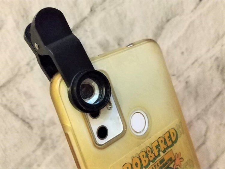 100均のマクロレンズがおもしろい コノコト｜北日本新聞webunプラス