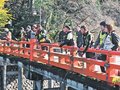 アリゲーターガーどこへ　高岡古城公園で発見から１年超、市民協力し９月捕獲会