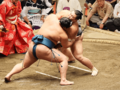 朝乃山６勝目　大相撲秋場所１１日目