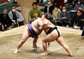 朝乃山、力なく初黒星　大相撲初場所１１日目