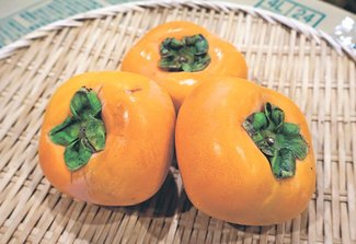 ＜旬を召し上がれ＞柿<br />秋のデザートにぴったり