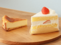 【注目の店】こだわりの素材で作るシンプルなケーキ「CAKE SHOP chito（チト）」（富山市）