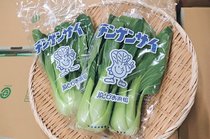 ＜旬を召し上がれ＞チンゲンサイ<br />シャキッとした歯応え