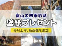 壁紙プレゼント（２０２４年１１月） 今月は「虹と水のアーチ」「ハクチョウ羽休め」「新巻きザケ」