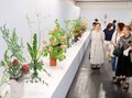 夏の草花すがすがしく　県民会館でいけばな公募展始まる