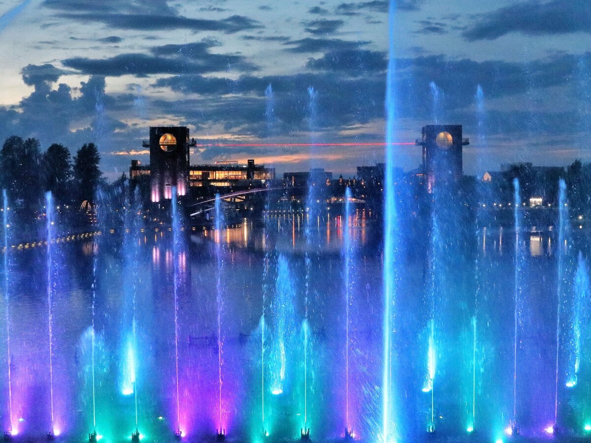 金山産 姿石 ラクダ 【公式通販】