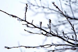 ⑲ 失うゆとり 壊したパソコン【娘といふ神-男50歳の子育て歌日記】高島 裕
