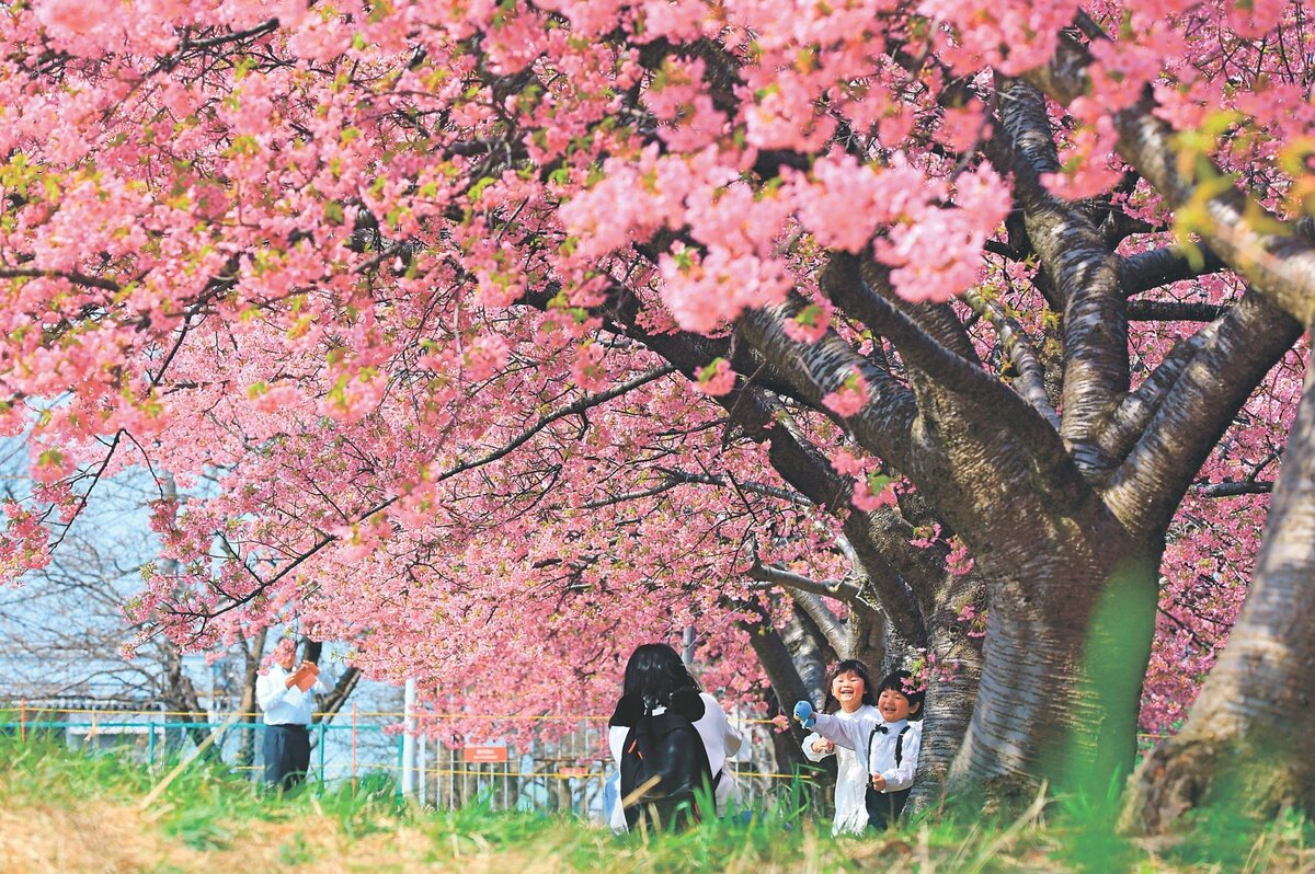 img_d7a67f68016257d9f1067939c0