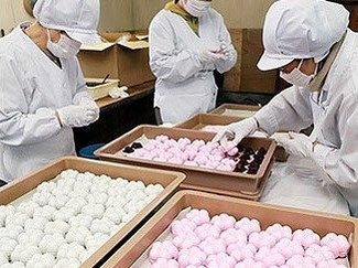 被災に負けず福梅作り　氷見の菓子店で生産最盛期