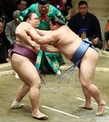 朝乃山、正代に敗れ痛い３敗目　初場所８日目