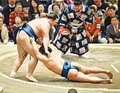 朝乃山連勝「気持ち乗ってきた」　我慢の相撲 苦手下す