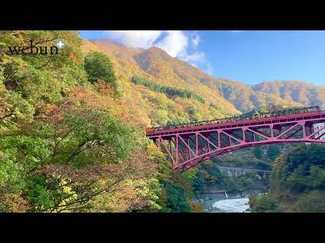 ＜とやまの紅葉２０２４＞黒部・宇奈月駅周辺<br />トロッコの秋、真っ盛り