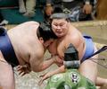 綱とり大の里が６連勝