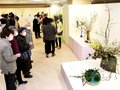 春の訪れ、華やかに　高岡で北日本いけばな展、３月２日まで