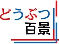 どうぶつ百景展、親子で楽しんで　県水墨美術館で２２日と９月１２日、家族連れウェルカムデー